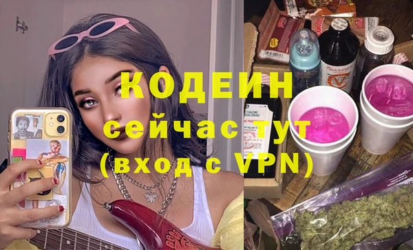 ПСИЛОЦИБИНОВЫЕ ГРИБЫ Гусев