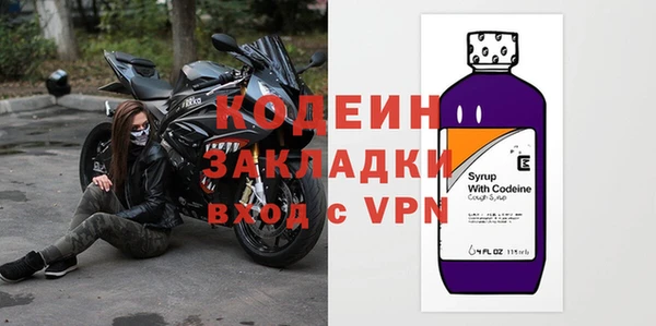 ПСИЛОЦИБИНОВЫЕ ГРИБЫ Гусев