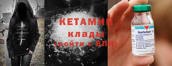 ПСИЛОЦИБИНОВЫЕ ГРИБЫ Гусев
