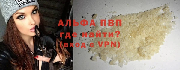 ПСИЛОЦИБИНОВЫЕ ГРИБЫ Гусев