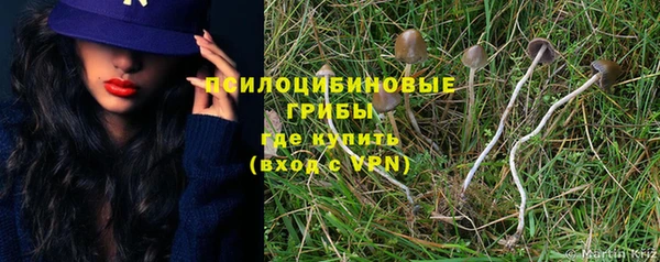 не бодяженный Гусь-Хрустальный