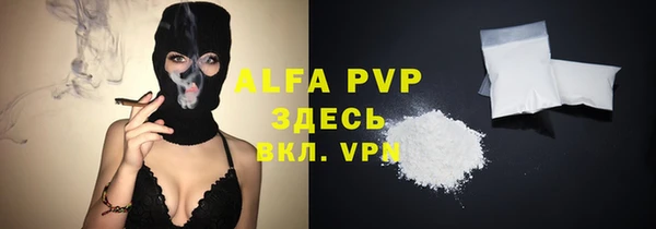 ПСИЛОЦИБИНОВЫЕ ГРИБЫ Гусев
