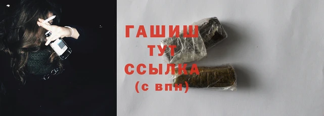 ПСИЛОЦИБИНОВЫЕ ГРИБЫ Гусев