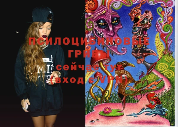 марки nbome Гусиноозёрск