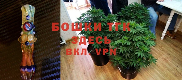 не бодяженный Гусь-Хрустальный