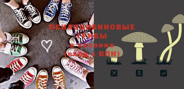 не бодяженный Гусь-Хрустальный