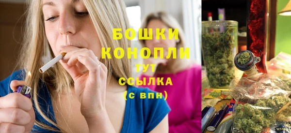 ПСИЛОЦИБИНОВЫЕ ГРИБЫ Гусев