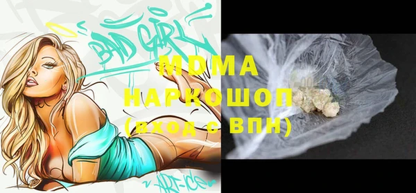 ПСИЛОЦИБИНОВЫЕ ГРИБЫ Гусев
