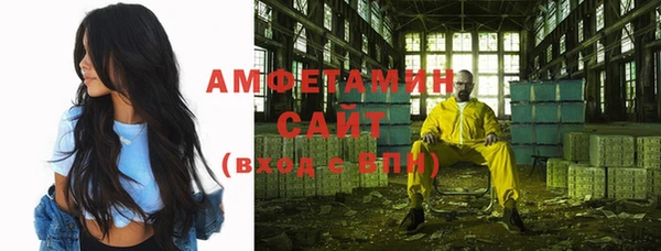 ПСИЛОЦИБИНОВЫЕ ГРИБЫ Гусев