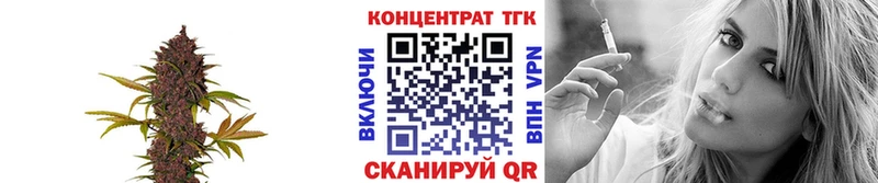 OMG зеркало  Майкоп  сайты даркнета какой сайт  Дистиллят ТГК концентрат 
