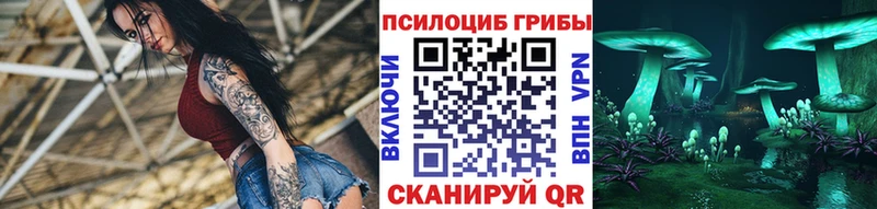 ссылка на мегу сайт  хочу   Майкоп  Галлюциногенные грибы мицелий 